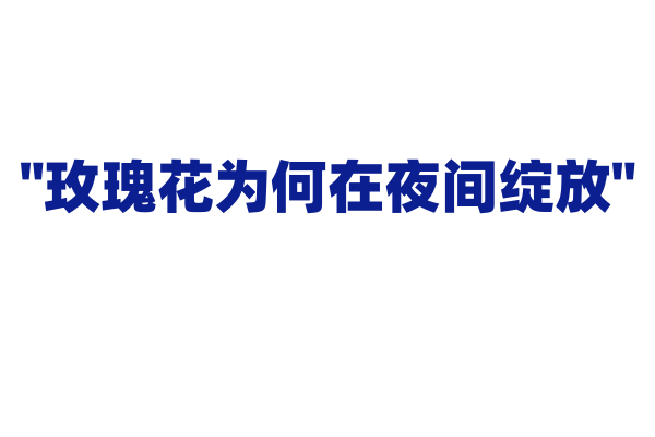 "玫瑰花为何在夜间绽放"